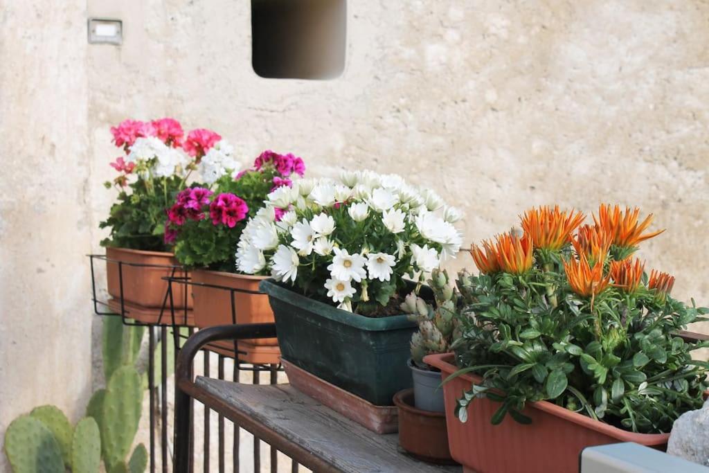 Casa Masseria Dell'800 Gargano. Le Mignole Monte SantʼAngelo Exteriér fotografie