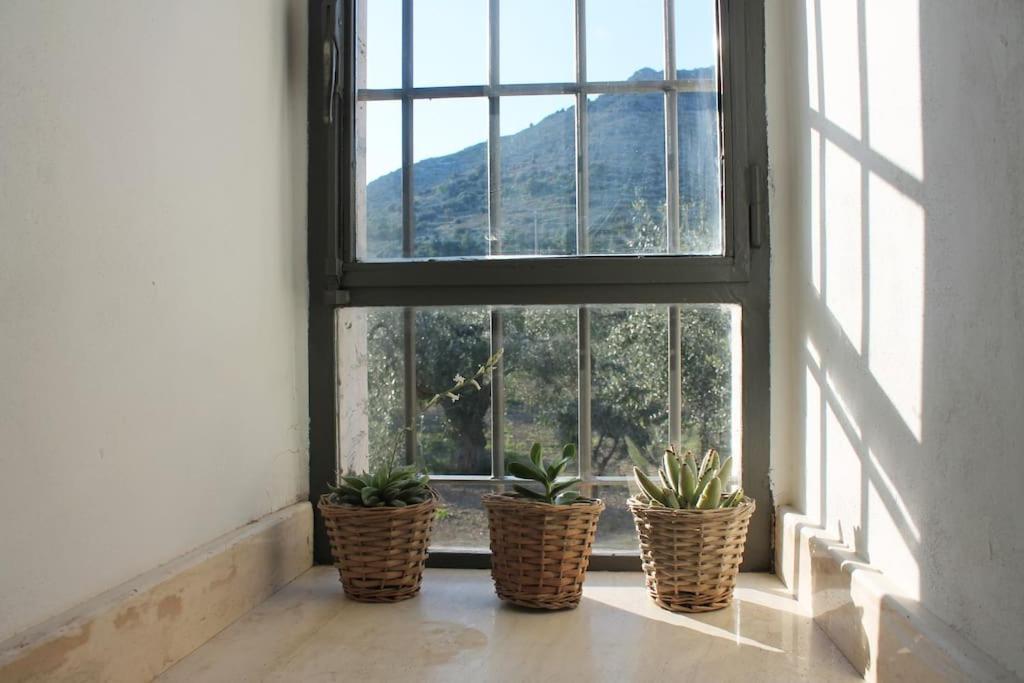 Casa Masseria Dell'800 Gargano. Le Mignole Monte SantʼAngelo Exteriér fotografie