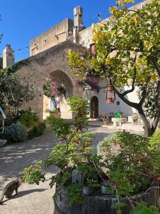 Casa Masseria Dell'800 Gargano. Le Mignole Monte SantʼAngelo Exteriér fotografie