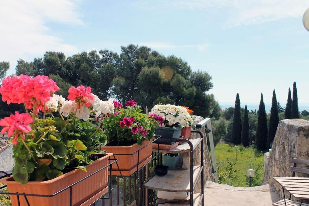 Casa Masseria Dell'800 Gargano. Le Mignole Monte SantʼAngelo Exteriér fotografie